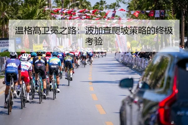 wen-ge-gao-wei-mian-zhi-lu-bo-jia-cha-pa-po-ce-lve-de-zhong-ji-kao-yan-3-273.jpg